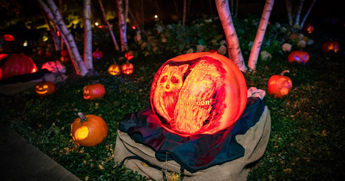 ヴィンテージハロウィン30〜40s復刻　Jack-o'-lantern Cの子 Pumpkin, Jack O Lantern, Vintage Halloween, Creepy Handcrafted